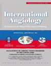 INTERNATIONAL ANGIOLOGY雜志封面
